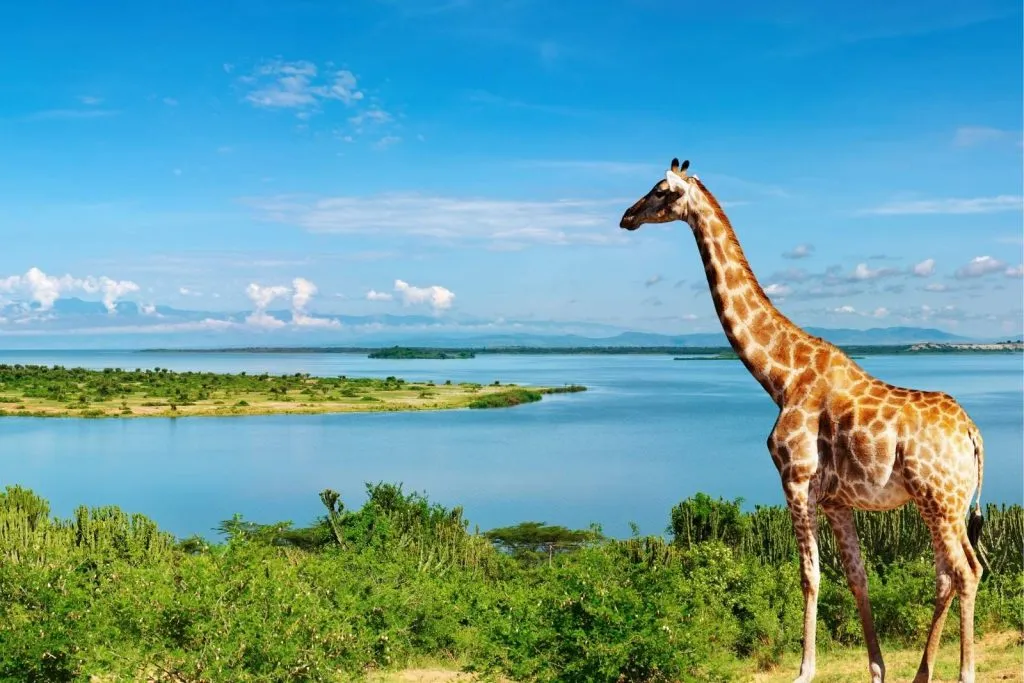 Landscape in Northern Uganda